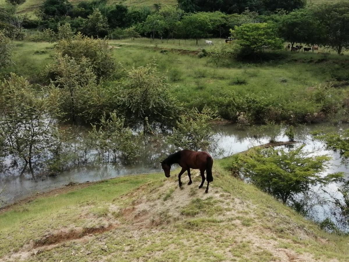 Finca Ecoturistica Los Jagueyes Baraya Eksteriør bilde
