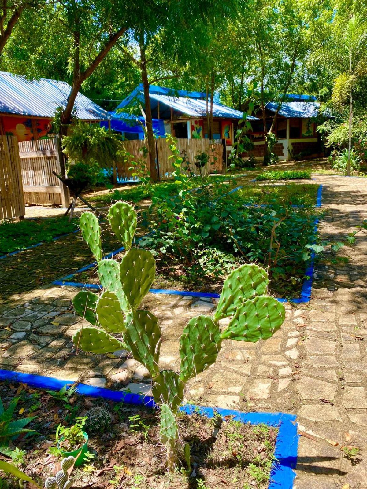 Finca Ecoturistica Los Jagueyes Baraya Eksteriør bilde