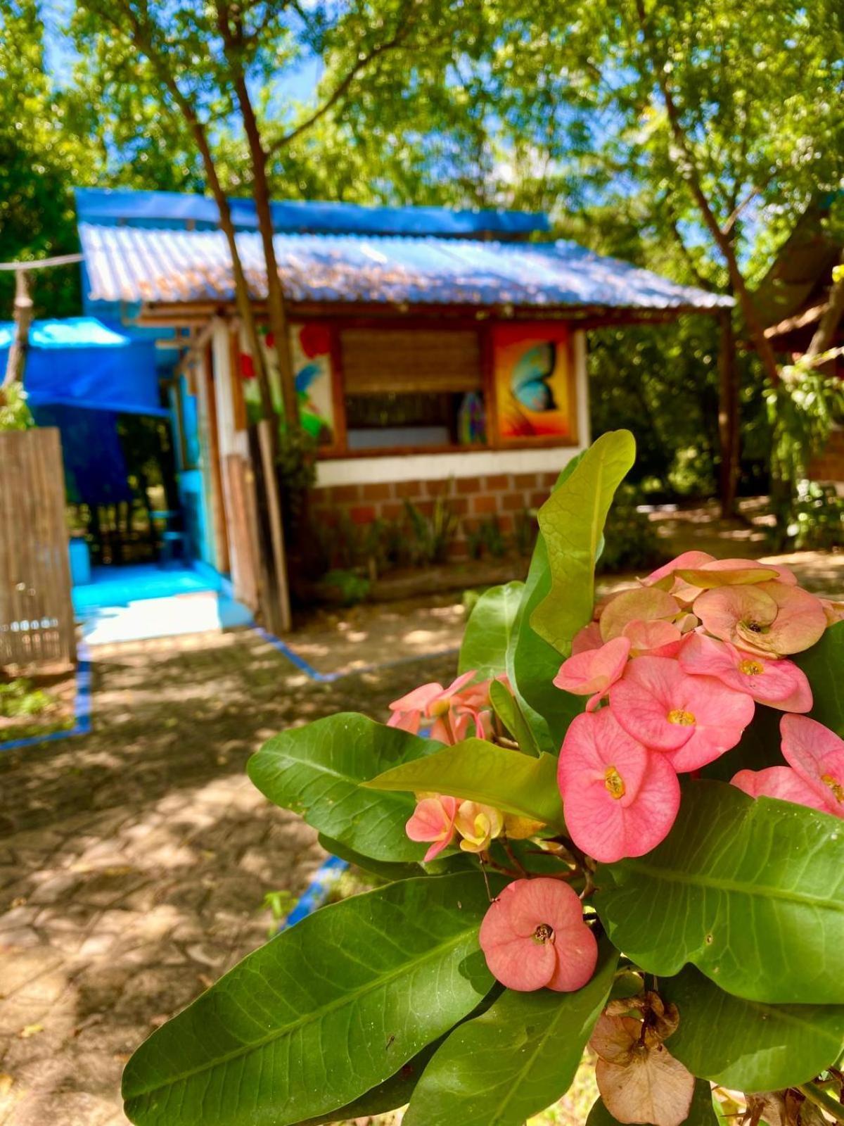 Finca Ecoturistica Los Jagueyes Baraya Eksteriør bilde